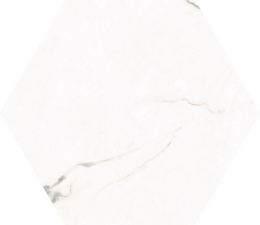FCS-263013TW-01M