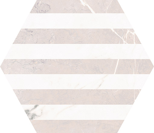 FCS-263013TW-01BM
